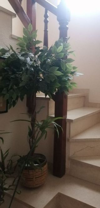 Casa pareada en venta en Regueral - Prat d'en Forés en Cambrils