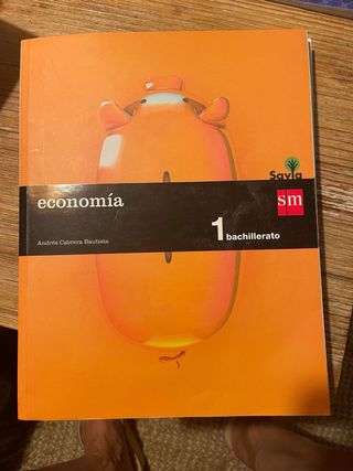 Economía. 1 Bachillerato. Savia (Spanish Edition)