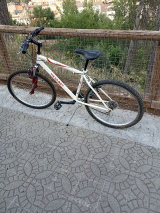 Bicicleta TH Sport montaña