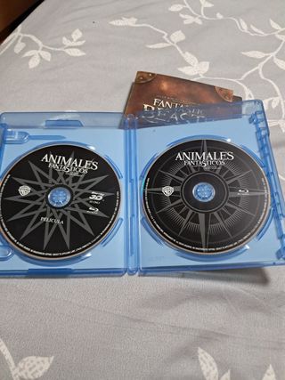 Animales Fantásticos 1 Blu-ray