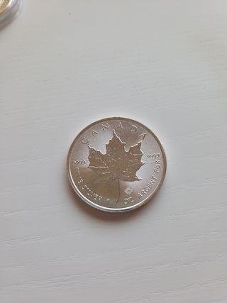 34 onzas de plata