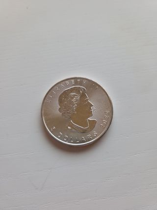 34 onzas de plata