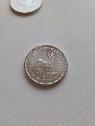 34 onzas de plata