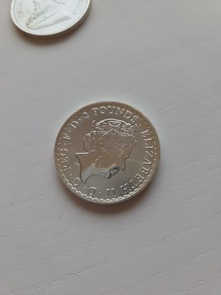 34 onzas de plata