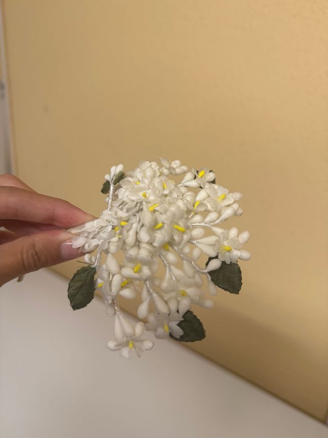 Azahar de dama o belleza adulta..