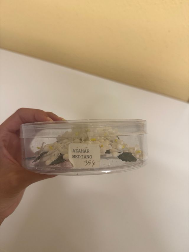 Azahar de dama o belleza adulta..