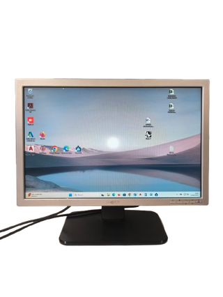 Monitor Dell da 19" - DVI-VGA SE198WFPF