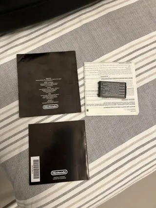 Nintendo DS: Batteria + Manuale