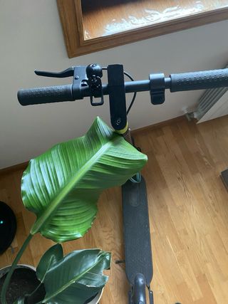Patinete eléctrico Xiaomi Pro 2