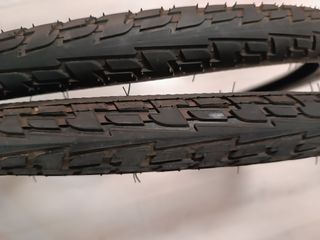 Neumáticos Bici 29