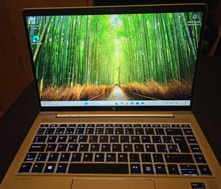 HP Probook 440 G8 - Gris Plata