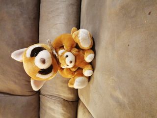 Peluche mapache con cachorro