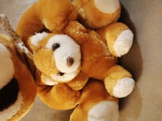 Peluche mapache con cachorro