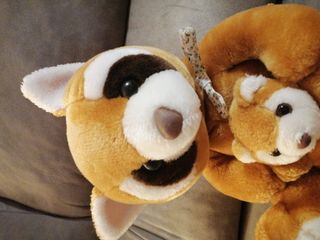 Peluche mapache con cachorro