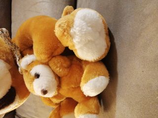Peluche mapache con cachorro