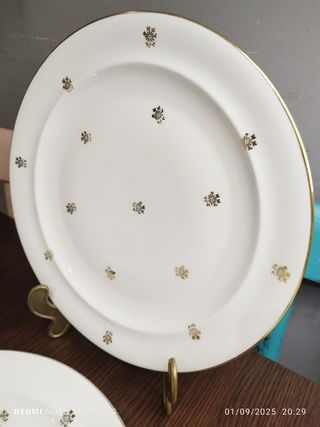 PORCELLANA FRANCESE VINTAGE DI LIMOGES.