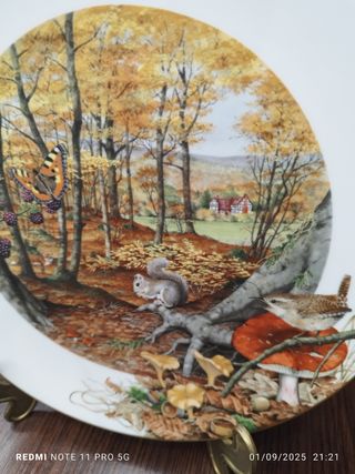 Piatto autunnale Peter Banett