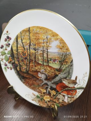 Piatto autunnale Peter Banett