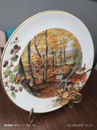 Piatto autunnale Peter Banett