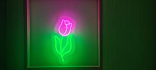 Lampada neon Led - ROSELLINA -