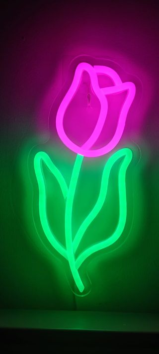 Lampada neon Led - ROSELLINA -