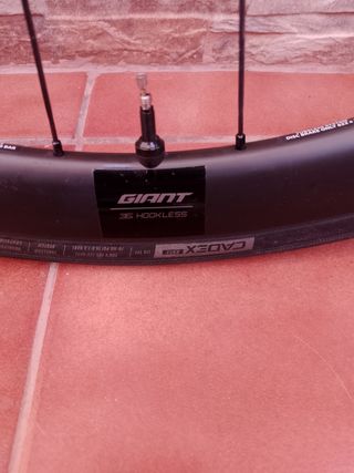 Rueda Giant SLR 1 Delantera