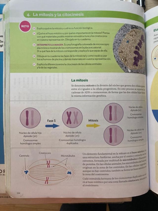 BIOLOGIA Y GEOLOGIA 4ESO OBSERVAMOS CONSTRUYEND...