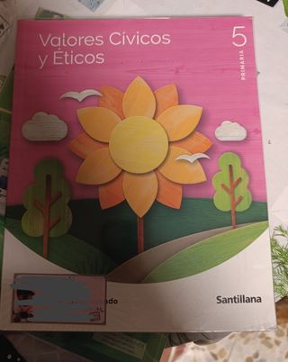 Libros de texto 5 primaria
