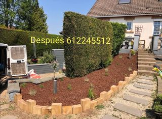 Limpieza de parcelas desbroces 