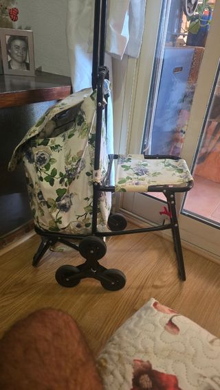 Carro de la compra con asiento plegable