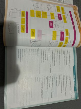 Economía 1.º Bachillerato