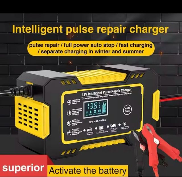 Cargador Pulso Inteligente 12V