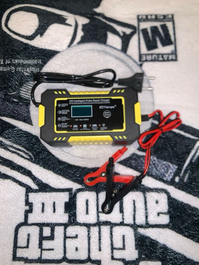 Cargador Pulso Inteligente 12V