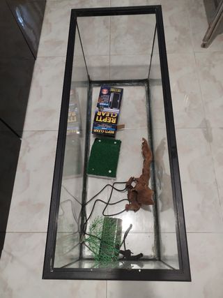 Acuario de tortugas