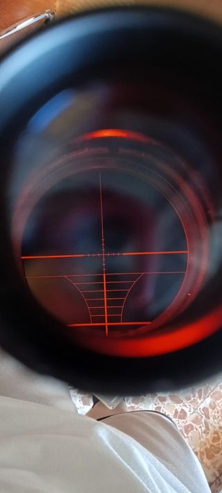 Mira Variable