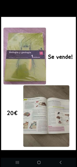 Libros bachiller ciencias de la salud.