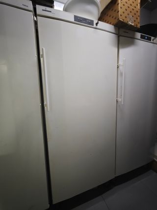 Nevera vertical hostelería