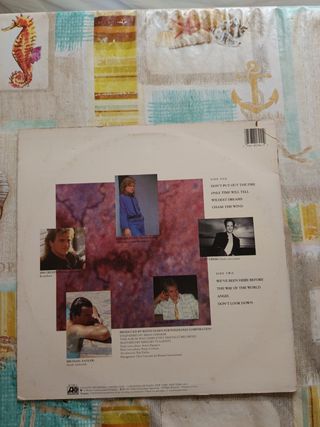 Saga - Wildest Dreams (Vinilo)