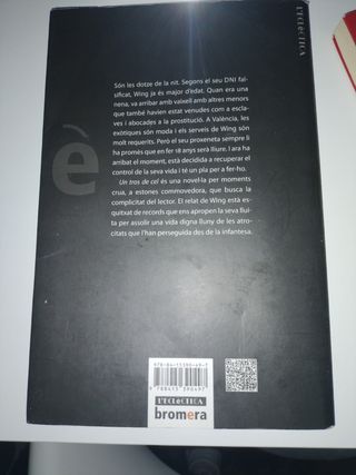 Libro Un tros de cel - Simó