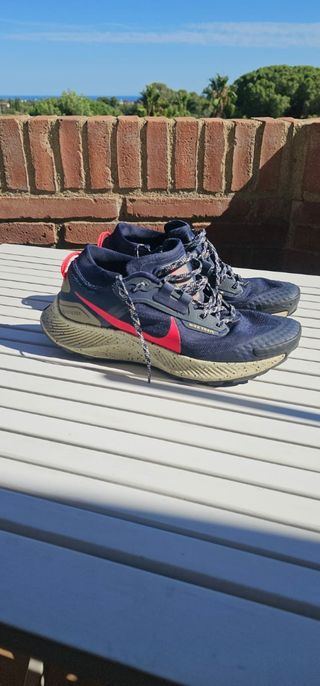 Zapatillas Nike Pegasus Trail 3 Gore-Tex 43