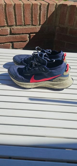 Zapatillas Nike Pegasus Trail 3 Gore-Tex 43