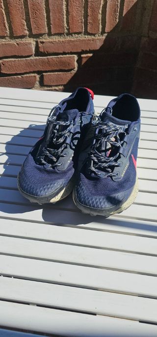 Zapatillas Nike Pegasus Trail 3 Gore-Tex 43