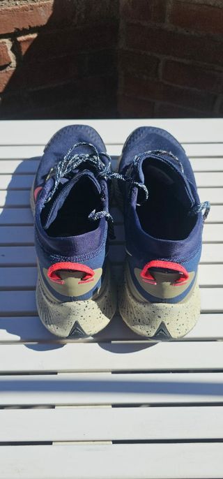 Zapatillas Nike Pegasus Trail 3 Gore-Tex 43