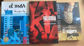 Conjunto de libros