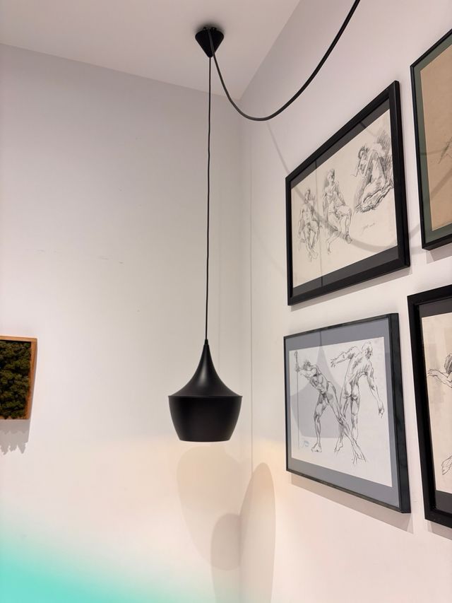 2 Lámparas colgantes | Metal negro