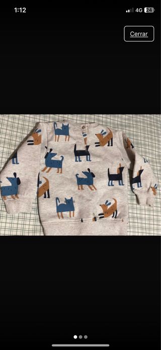 Conjunto bebé otoño: sudadera y pantalón