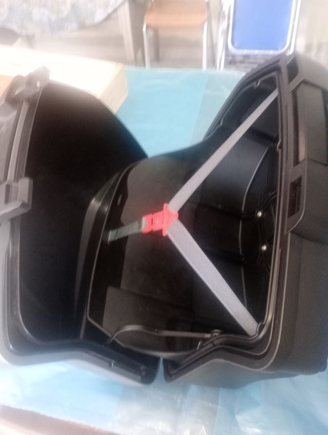 Bauletti laterali BMW S1000XR  del 2017

