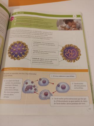 Biologia i Geologia 1 ESO - Construint Mons - 9788413150437