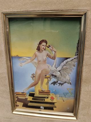 3 Reproducciones DALÍ 25x30 cm. Con certificado de autentificación de Dali, 1981