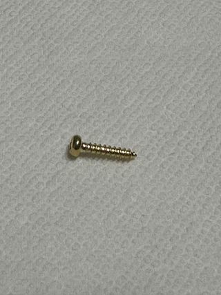 100 Tornillos Clavijero Guitarra Dorado brillante